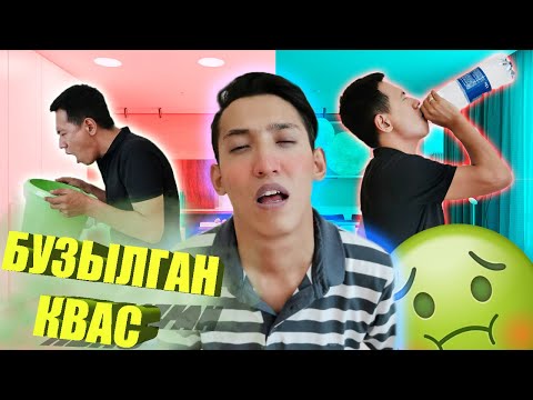 Видео: КВАСТАН МАС БОЛЫП ҚАЛДЫҚ ПА? ЭНЕРГЕТИКТЕРГЕ ШОЛУ ft. Mr  Prikolchik