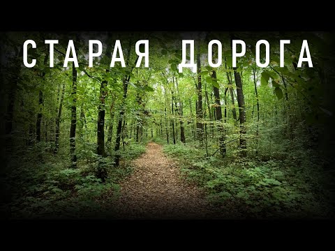 Видео: ФАРТОВЫЙ КОП по старой лесной дороге. НАХОДКИ  МЕТАЛЛОИСКАТЕЛЕМ XP ПОИСК МОНЕТ C МД ORX