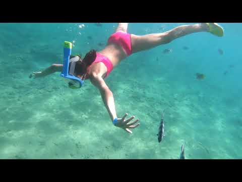 Видео: Египет : наше путешествие, красное море 4k.