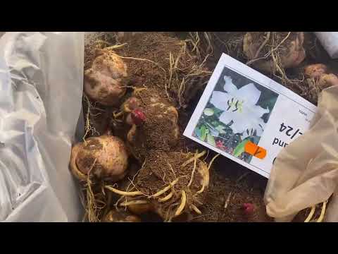 Видео: Информация для заказчиков!!!!!! Смотреть всем!!!