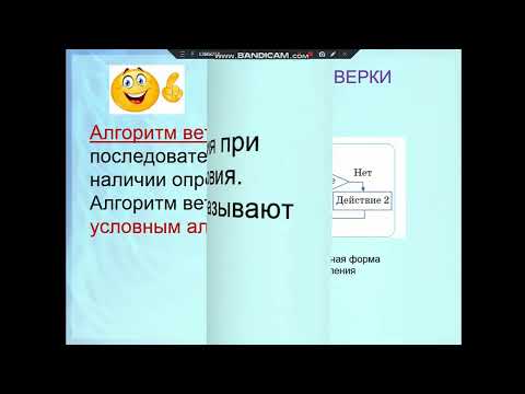 Видео: Урок цифровой грамотности во 2 классе "Продолжаем разрабатывать программы"