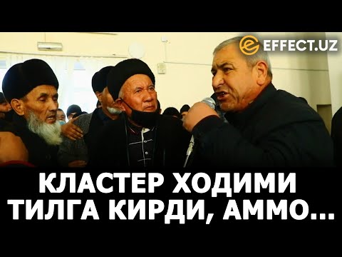 Видео: КЛАСТЕР ХОДИМИ ТИЛГА КИРДИ, ФЕРМЕРЛАР УНГА ҚУЛОҚ СОЛИШМАДИ – ҚИЗИРИҚДА КЛАСТЕР ИШИ