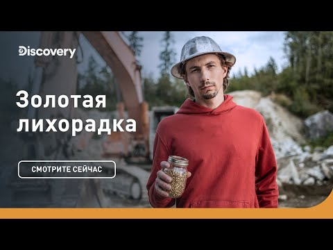Видео: Кто победит? | Золотая лихорадка | Discovery