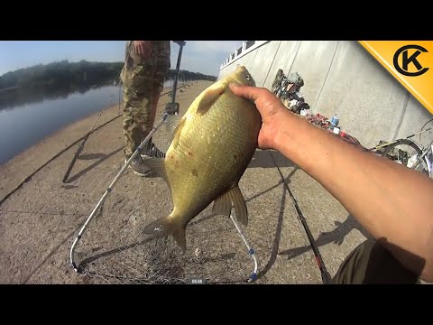 Видео: Ловля ЛЕЩА С Городской Набережной. Сработала необычная насадка. Ловля ЛЕЩА на Болды.