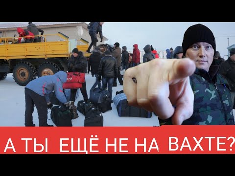 Видео: Самое Время Ехать на Заработки!