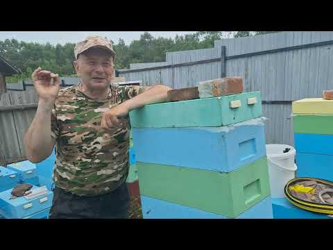 Видео: КАРНИКА ЕВГЕНИЯ КОРНЕВА .РАБОТА СЕМЬИ С МАТКОЙ,, ИО,, .