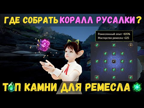 Видео: [BDO]🌱НОВАЯ ТОП-ИНКРУСТАЦИЯ ДЛЯ РЕМЕСЛА - 105% ОПЫТА И 225 МАСТЕРСТВА | ГДЕ ДОБЫТЬ КОРАЛЛ РУСАЛКИ?