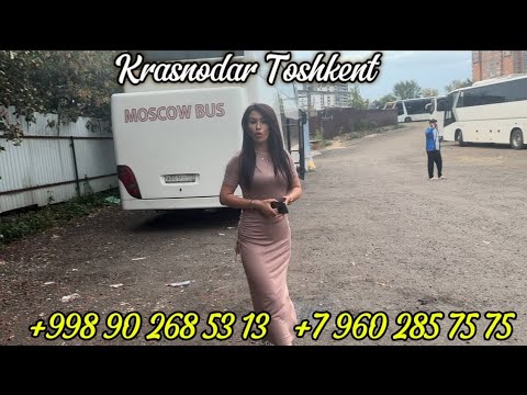 Видео: +79602857575/Krasnodar Toshkent avtobus ,Ростов Ташкент автобус,москва-ташкент автобус