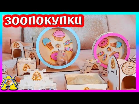 Видео: Что мы купили для хомяков, крыс?  / покупки для кота  / купить колесо для хомяка / Alisa Easy Pets