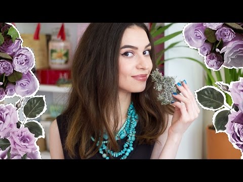 Видео: Дубовый мох в истории и парфюмерии. Что такое oakmoss, mousse de chêne? | Anisia Beauty