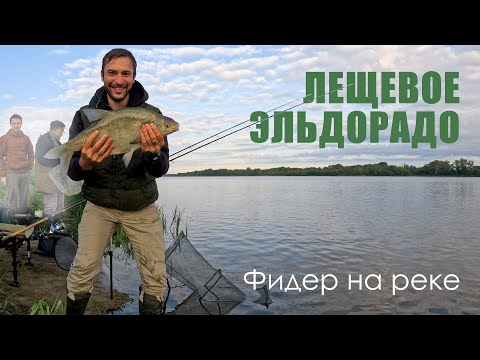 Видео: РЕЧНЫЕ ЛЕЩИ ГНУТ ФИДЕР В ДУГУ 🐟🐟🐟 / Фидерная рыбалка на реке 2023 / Рыбалка на Висле