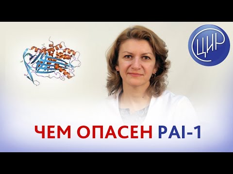Видео: Мутация PAI-1 - что это? Чем опасна? Как мутация PAI-1 влияет на беременность? Дементьева С.Н.
