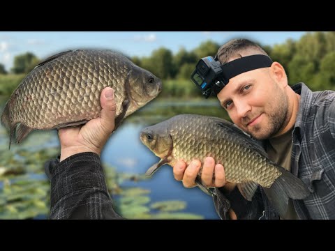 Видео: ЗАКІЛОШНІ КАРАСІ ЧЕМОДАНИ ГНУТЬ ВУДКИ! КАРАСІ НА КІЛО НА ПОПЛАВОК! РИБАЛКА НА ВЕЛИКИХ КАРАСІВ!