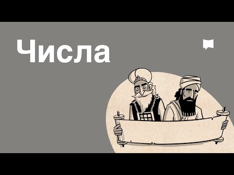 Видео: Обзор: Числа