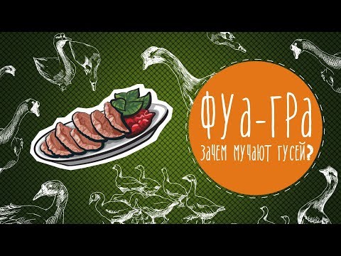 Видео: Фуа-гра: зачем мучают гусей?