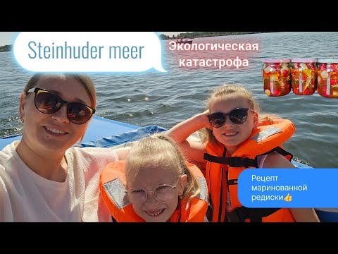 Видео: Битая редиска/экологическая катастрофа Steinhuder meer/др нашей младшей