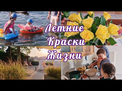 Видео: Семейные истории.На речке.Беседы и другое