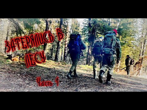 Видео: ЧЕТВЕРО МУЖЧИН УХОДЯТ В ТАЙГУ/ОСЕННИЙ ПОХОД В ЛЕС НА ИЗБУШКУ/РЕКА РЫБНАЯ/ЧАСТЬ 1