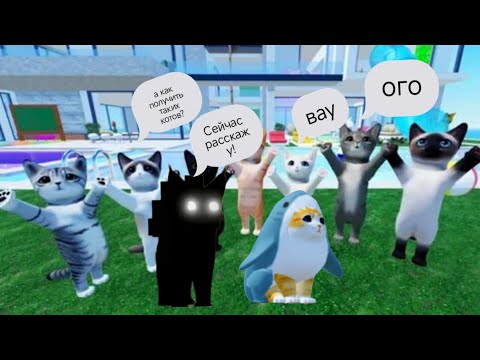 Видео: Тутор на глитч кота и акулу! • игра с котятами • роблокс