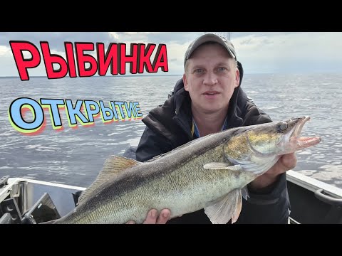 Видео: РЫБИНКА! Открытие..  лучший отдых на земле!