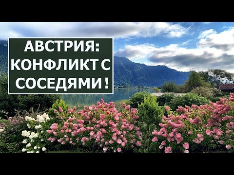Видео: Австрия, строительство дома. Конфликт с соседями