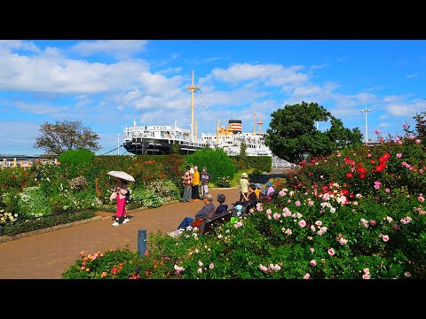 Видео: Четыре прекрасных розария в Иокогаме и Аясэ!