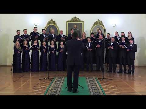 Видео: Русская народная песня в обработке В. Володина «Во лузях»