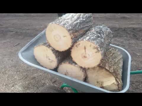 Видео: Заготовка дров на зиму