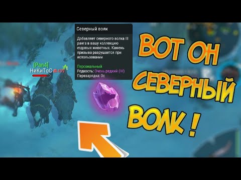 Видео: Северный волк и фарм севера на 1 навыке ! Frostborn: Action RPG