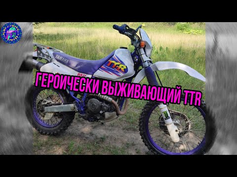 Видео: Yamaha TTR 250 Которая хочет просто пожить