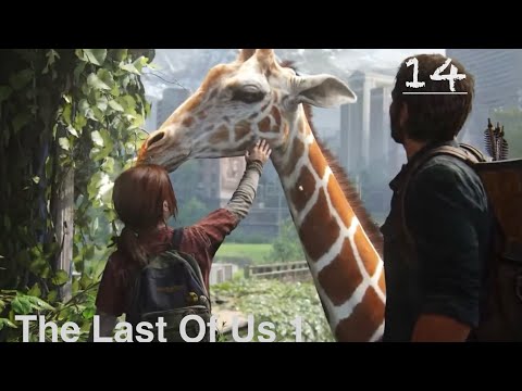 Видео: Проходження The Last Of Us #14 (Стрім)