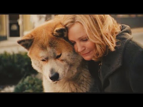 Видео: Байғұс ИТ Иесін 9 жыл күтті / қысқаша кино