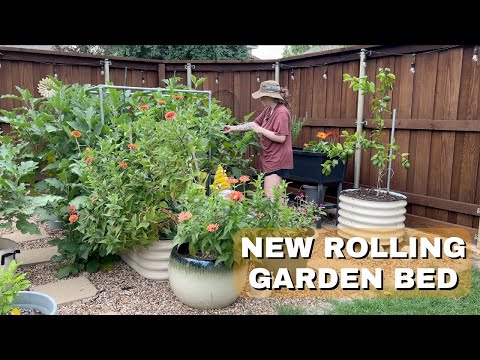 Видео: Роликовый горшок Vego Garden | Пересадка лимонного дерева