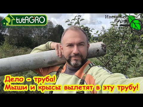 Видео: МЫШИ и КРЫСЫ НЕ СПАСУТСЯ - ВЫЛЕТЯТ В ТРУБУ! Как избавиться от мышей, крыс и землероек в саду и дома.