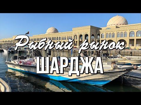 Видео: Шарджа, рыбный рынок Аль-Джубейль