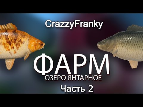 Видео: Раздача на ЯНТАРКЕ...РР4/Русская Рыбалка 4