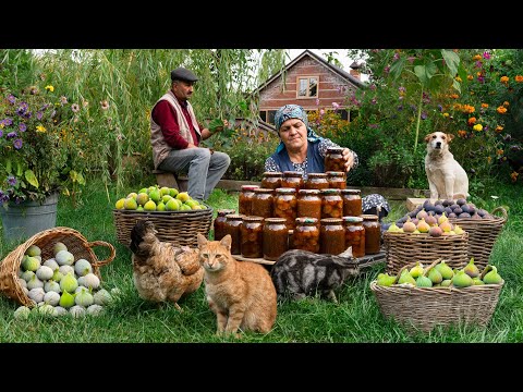 Видео: Выпечка Пирогов с Инжиром + Приготовление Варенья из Свежего Инжира 🥮🍯