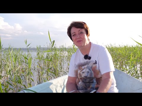 Видео: 3640. Хлеб на каждый день. 14 сентября. Псалом 88:35