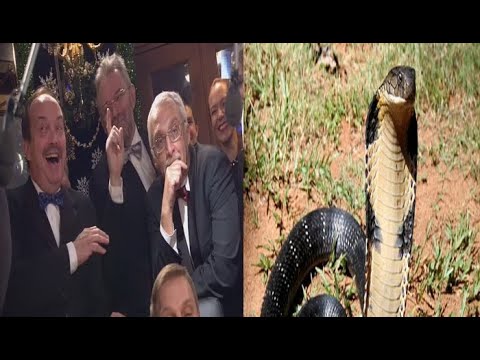 Видео: Что? Где? Когда? Вопрос об эффекте кобры