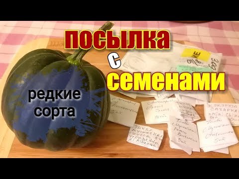 Видео: Семена на 2019/ Заказ в интернет-магазине/ Редкие сорта/ #theseeds #parcel #garden