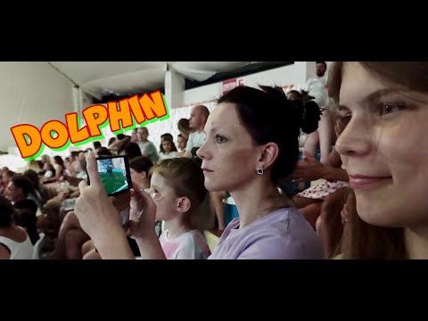 Видео: Дельфинарий