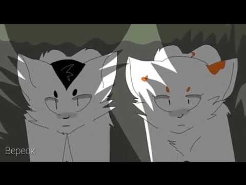 Видео: ~Коты-Воители ,Яролика и Быстролап •Слуга зла•~