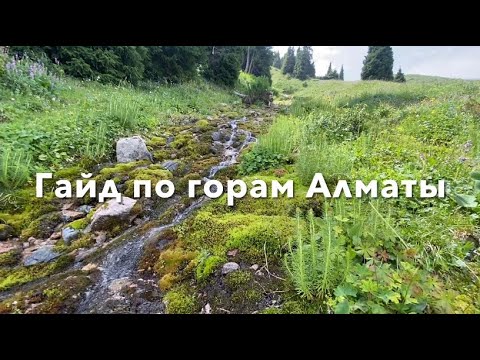 Видео: Пик Кумбель 3200м. Пик 3 брата. Орлиное гнездо и Кок Жайлау. Grand поход по Алматинским горам.