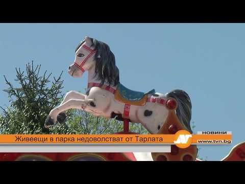 Видео: Живеещи в парка недоволстват от Тарлата