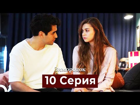 Видео: Зимородок 10 Cерия (Русский дубляж)