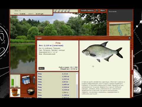 Видео: русская рыбалка 3(рр3) фарм уровня и денег Лопасня (лещ)