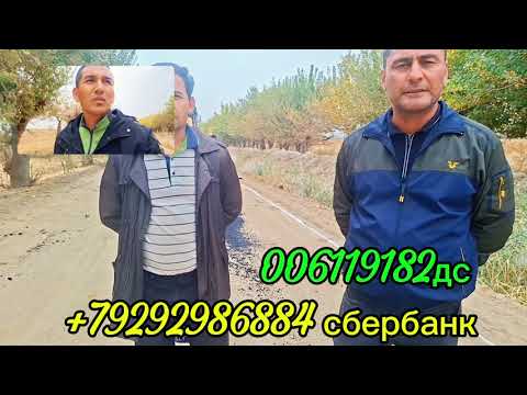 Видео: Роҳсози давом дорад дар Сомониён ХТМ 2005 БА ПЕШ