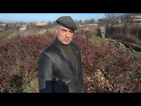 Видео: Когда лучше всего садить голубику? Отвечает Александр Васильевич.
