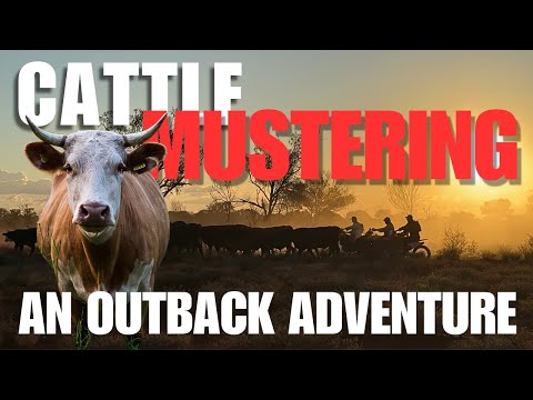 Видео: Я провел неделю, собираясь на отдаленной скотоводческой станции