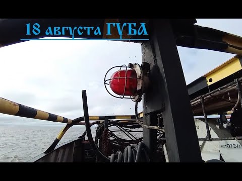 Видео: 18 авг ГУБА